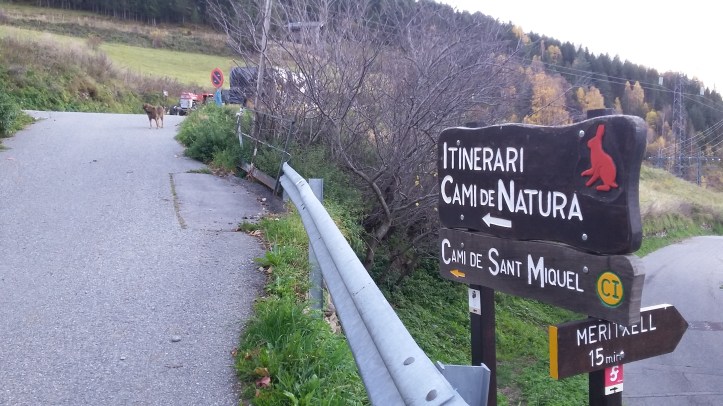 Per seguir el circuit fixa't amb els cercles grocs i lletres verdes indicant "CI"