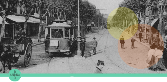 androna cultura capsalera