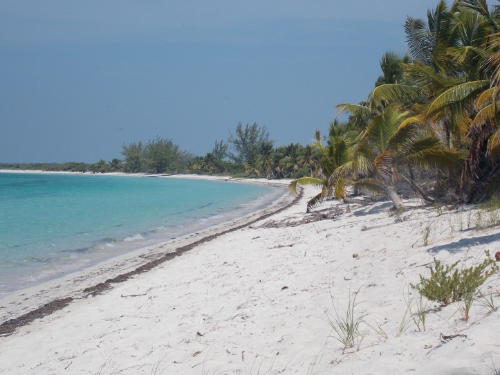 Cayo Santa María.JPG