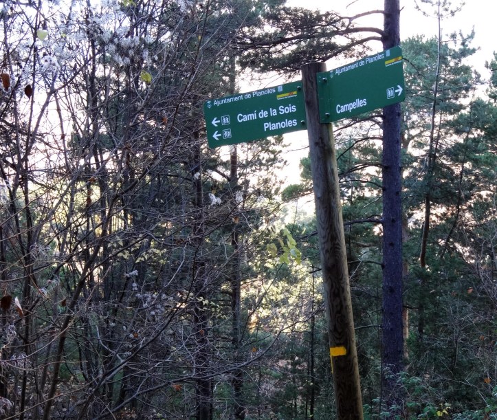 cami-de-la-sois-planoles-areveure