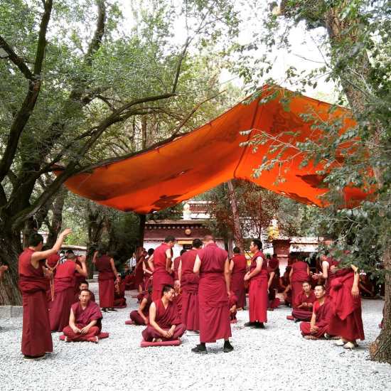 Debat al Monestir de Sera