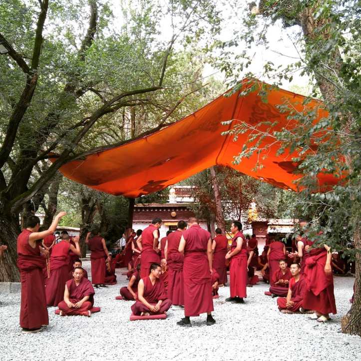 Debat al Monestir de Sera