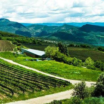 Paisatge celler Castell d'Encús