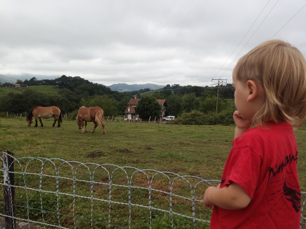 Sempre és un bon moment per parar i observar la natura
